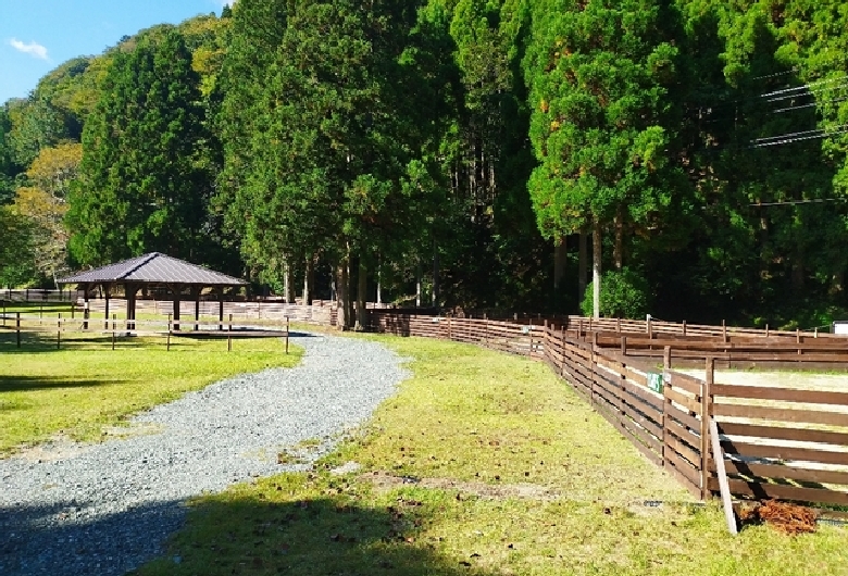 かもしか葛川森のキャンプ場