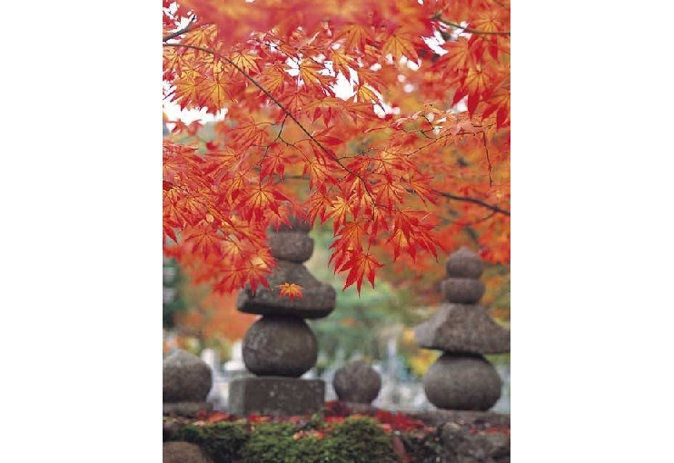 あだし野念仏寺