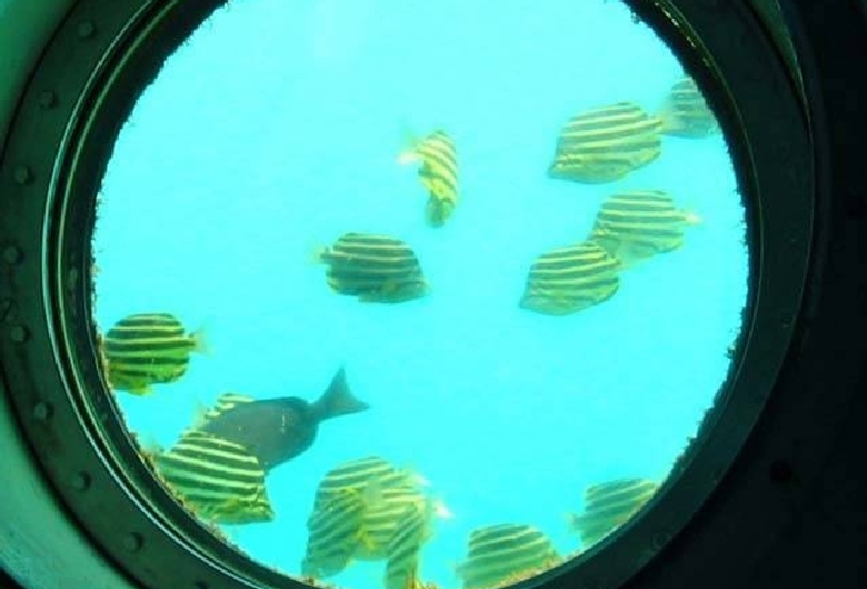 白浜海中展望塔