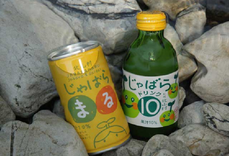 道の駅　おくとろ