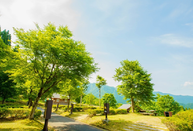 わかさ氷ノ山キャンパーズヴィレッジ