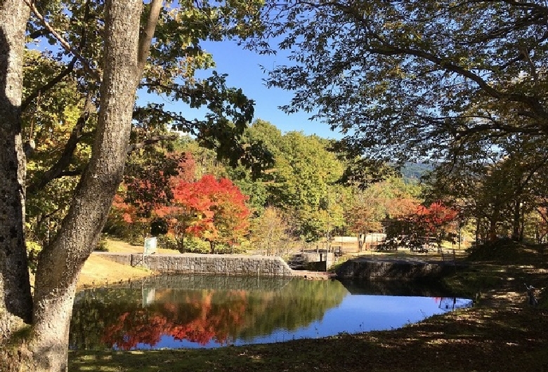 恩原高原オートキャンプ場