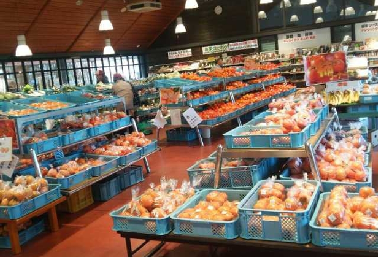 道の駅　たからだの里さいた