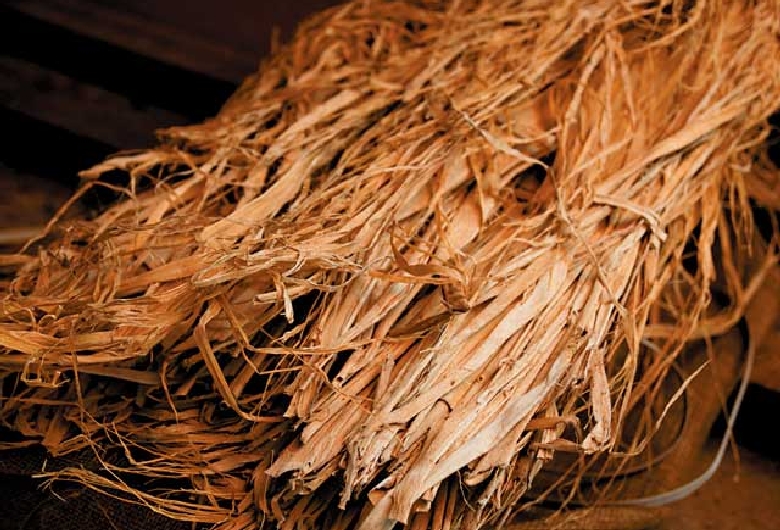 天神産紙工場（大洲和紙会館）（見学）