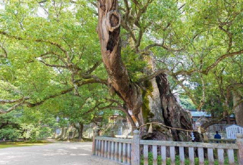 大山祇神社