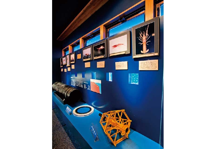 室戸海洋深層水アクア・ファーム