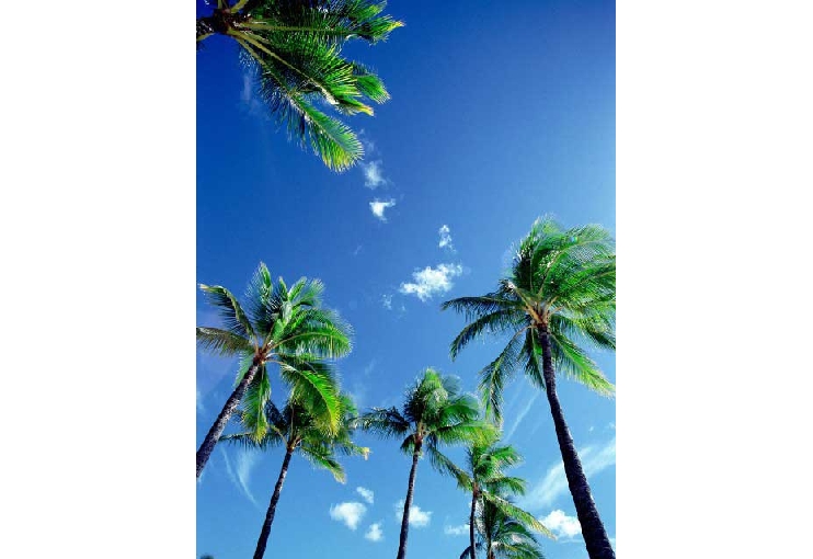 能古島キャンプ村・海水浴場