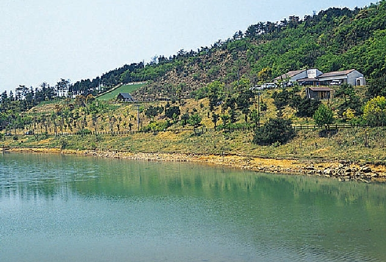 八丁キャンプ場