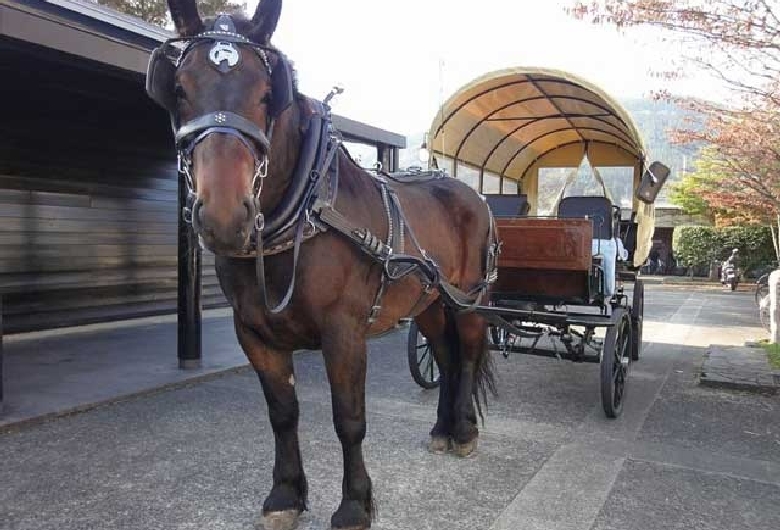 観光辻馬車