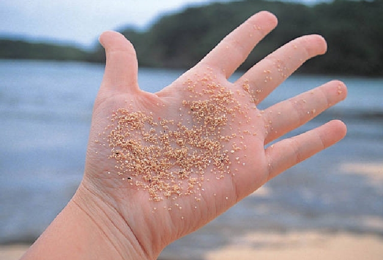 星砂の浜（西表島）