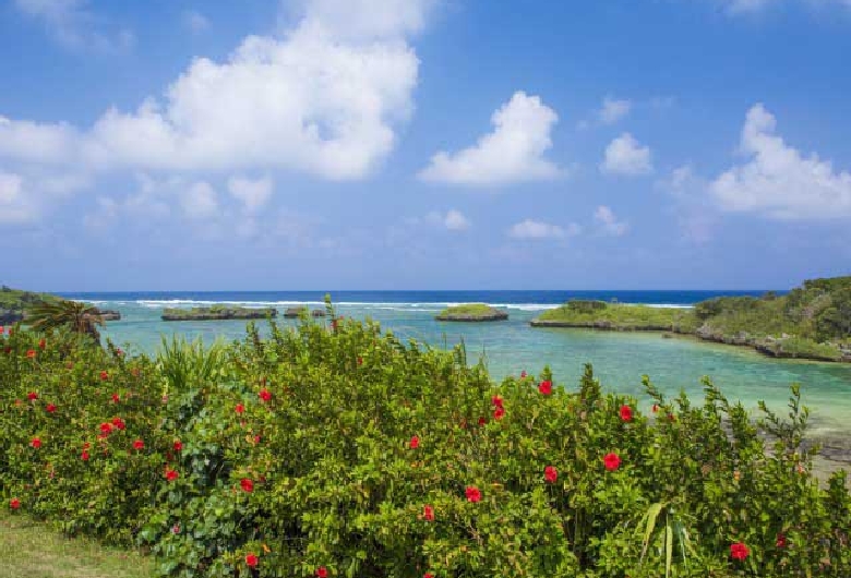 星砂の浜（西表島）