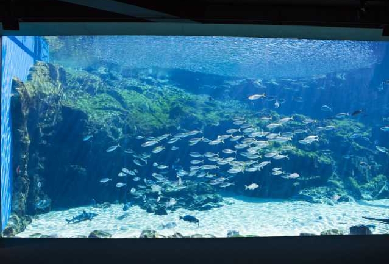 九十九島水族館海きらら