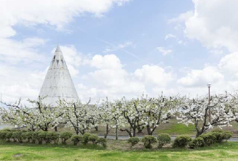 チェリーランド　さがえ