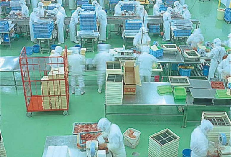 やまや本社工場（見学）