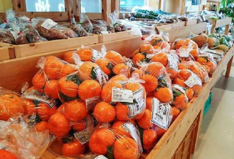 道の駅　すさみ