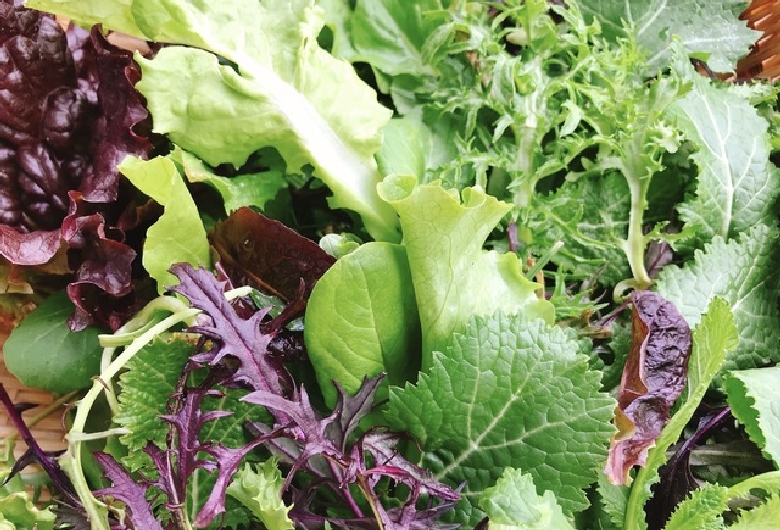 東大寺　門前市場