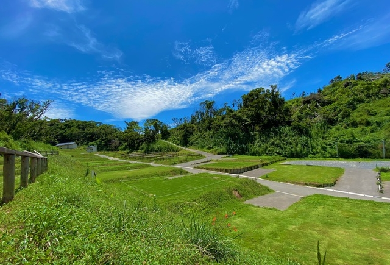 キャンプマナビス