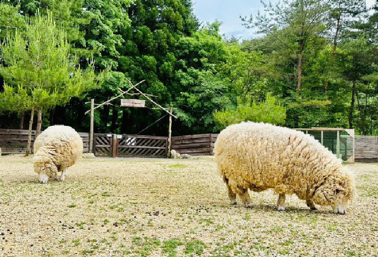 KAMOSHIKA EX(キャンプ場)