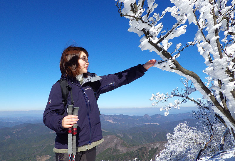 エバーグリーン