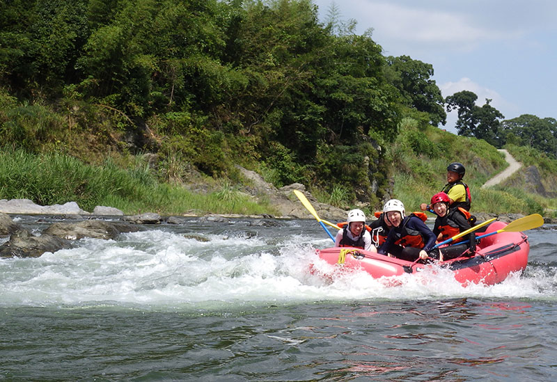 エバーグリーン