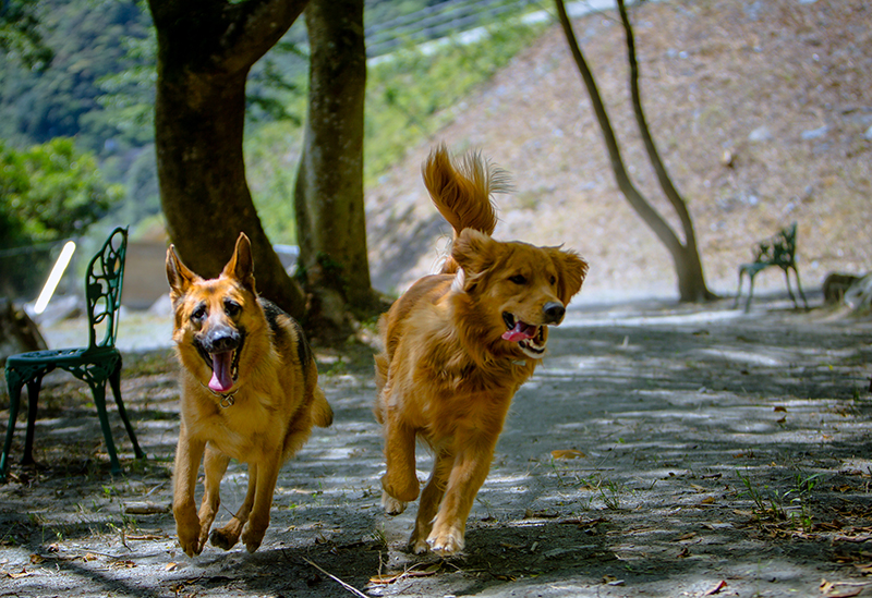 RiverStation West West