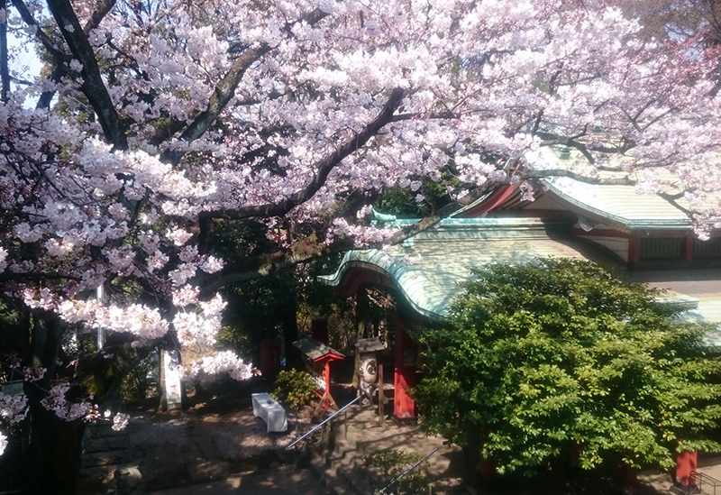 雪ヶ谷八幡神社