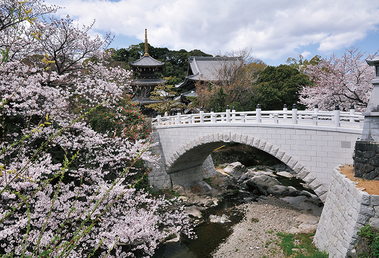 水間寺＞大阪府 - 堺・泉州・南河内エリアの神社仏閣【旅色】
