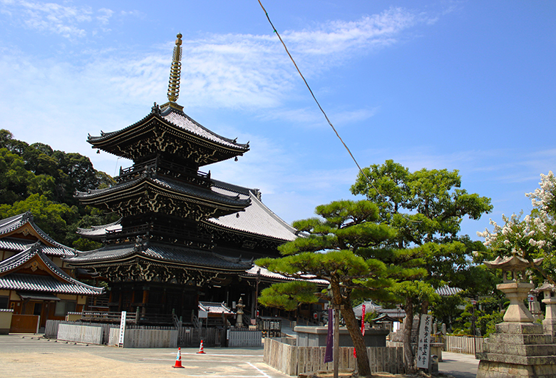 社*猫様 法螺貝 ほら貝 修験道 山伏 網付き　神社　お寺　お祭り　魔除け 水間寺＞大阪府 - 堺・泉州・南河内エリアの神社仏閣【旅色】