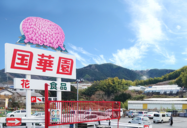 国華園 和泉本店