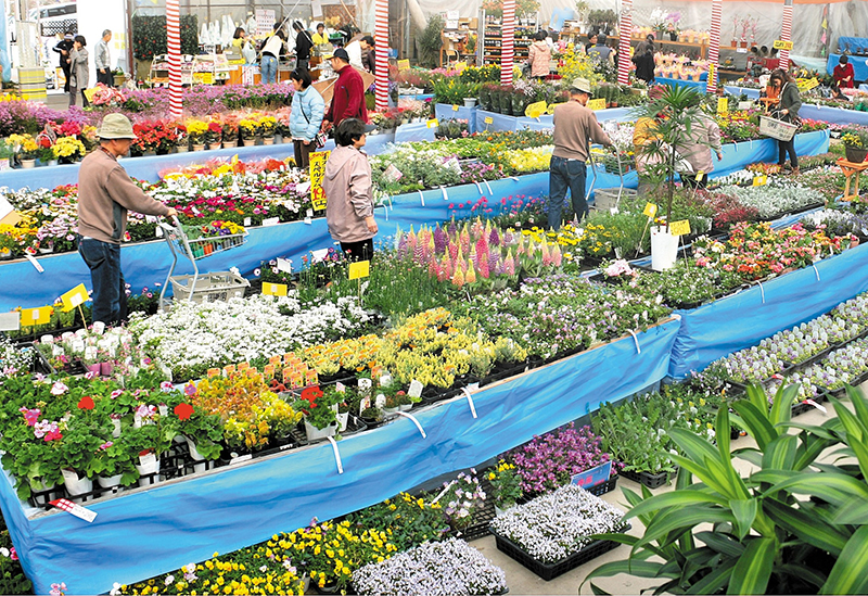 国華園 和泉本店
