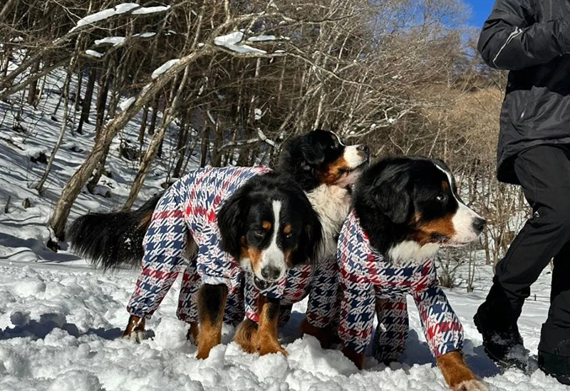 ワンドロップ　アウトドアガイドサービス