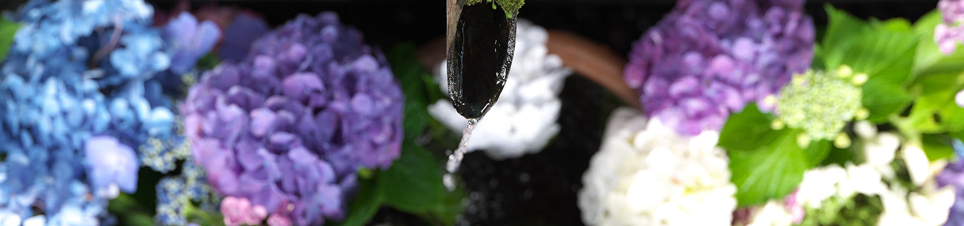 磐梯熱海 高司神社