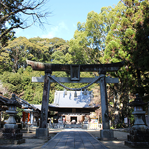 八幡神社　松平東照宮