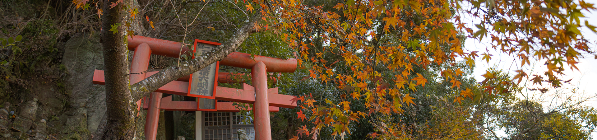 穴弘法奥之院 霊泉寺