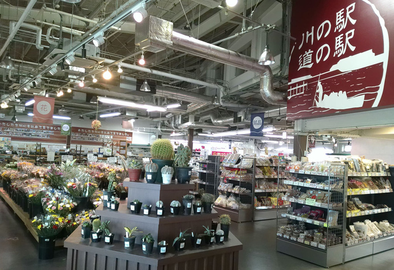 道の駅 水の郷さわら