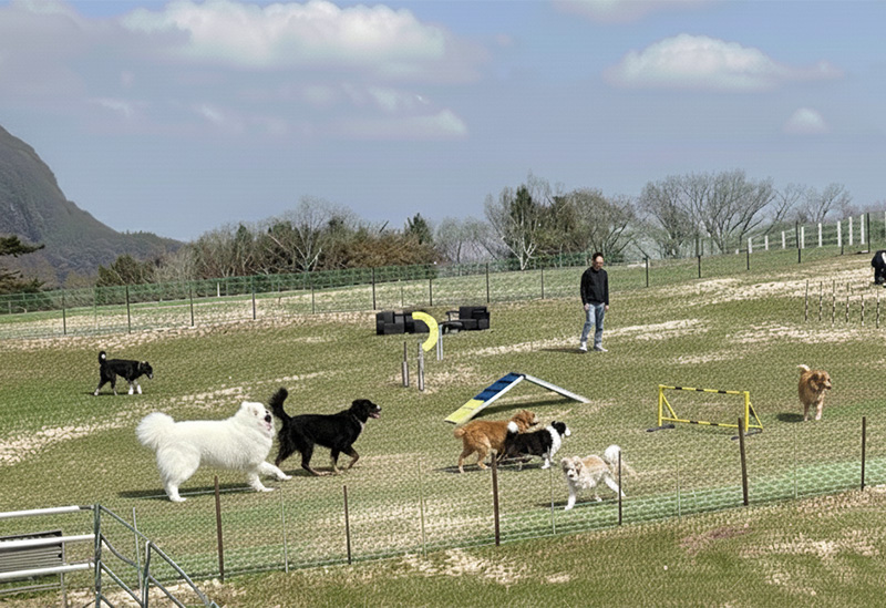 日光霧降高原 大笹牧場