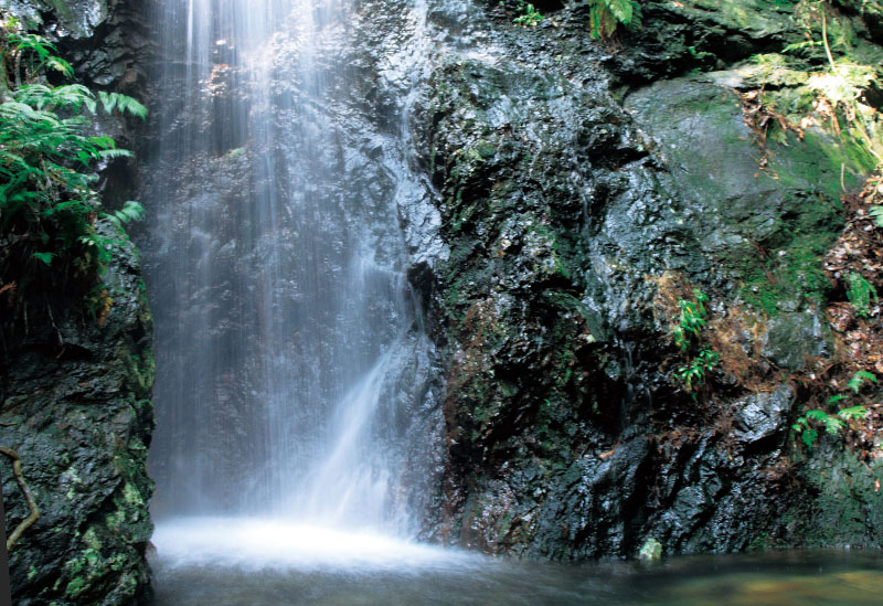 アルティストビラージュ