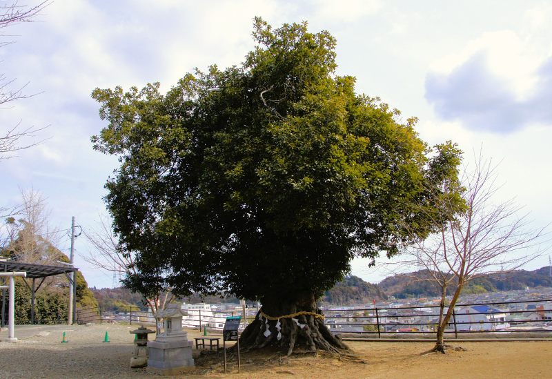 植田八幡神社