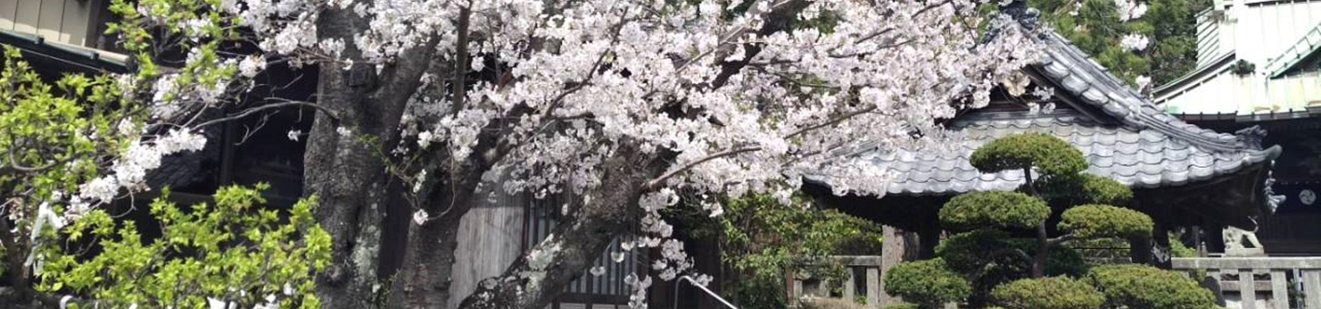 第六天神社