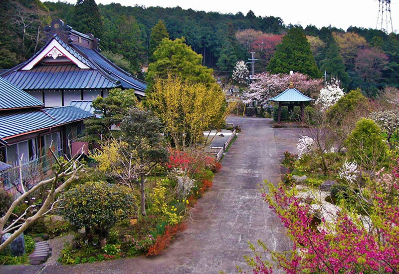 弘法山 三澤寺