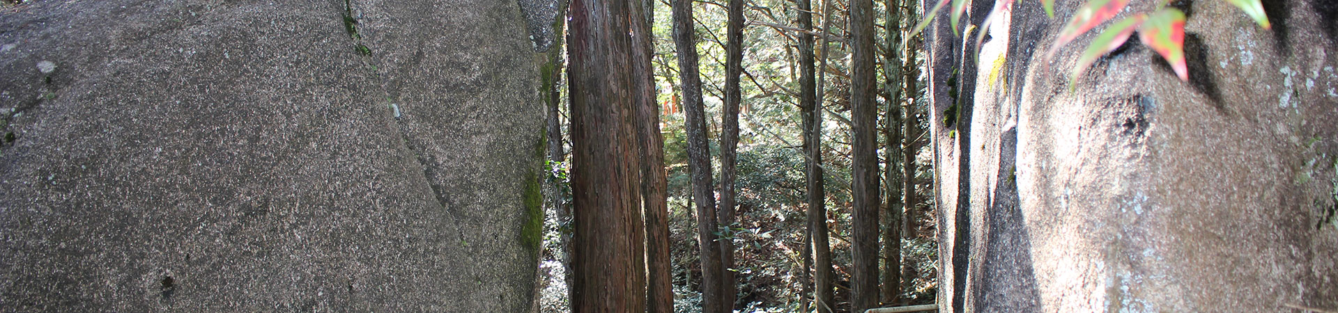 寳林山　高徳寺