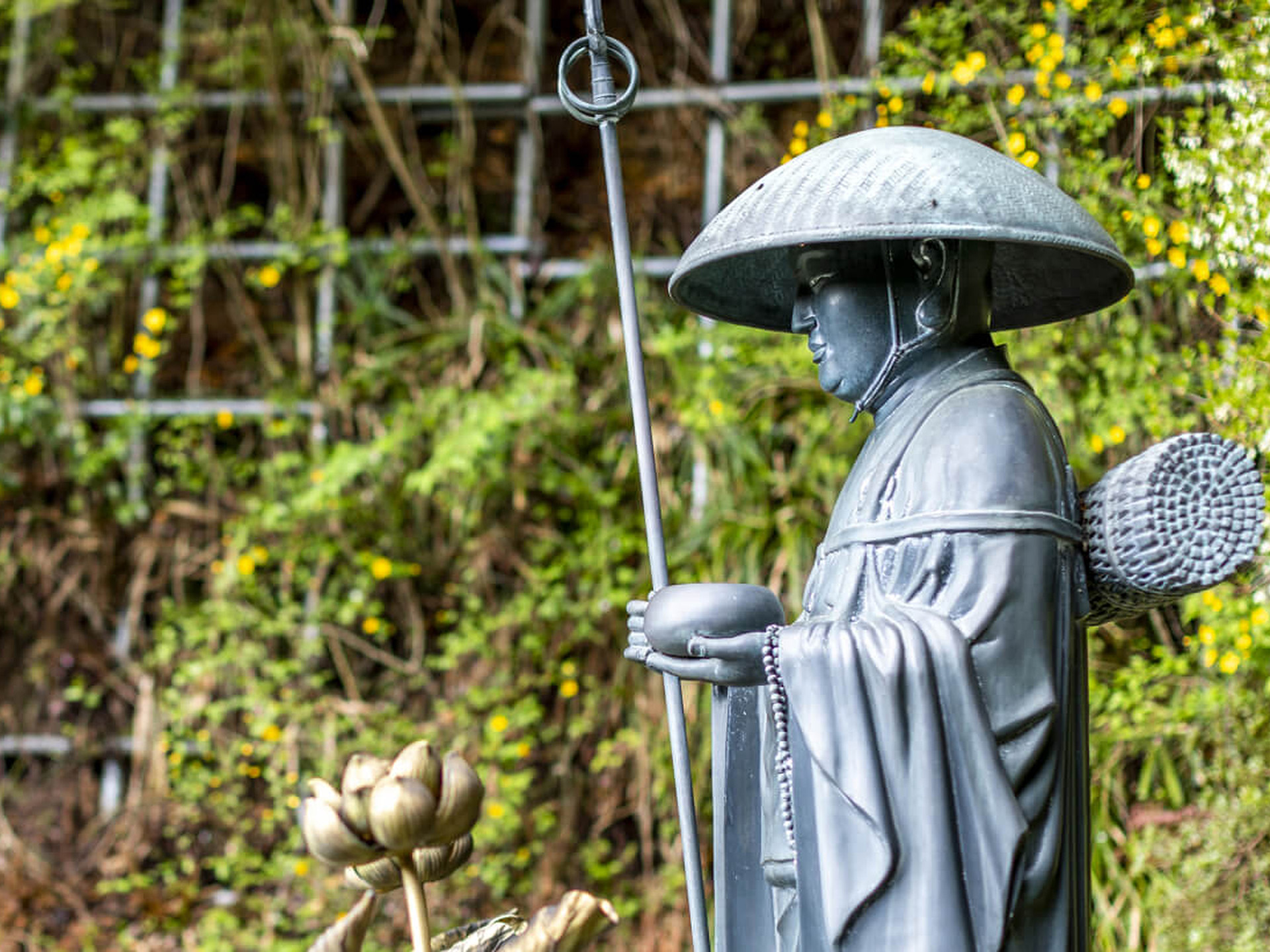 小坂坊 持明院