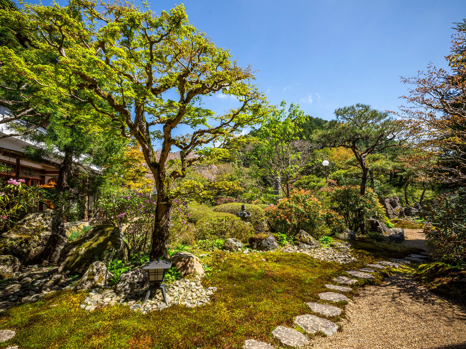 小坂坊 持明院