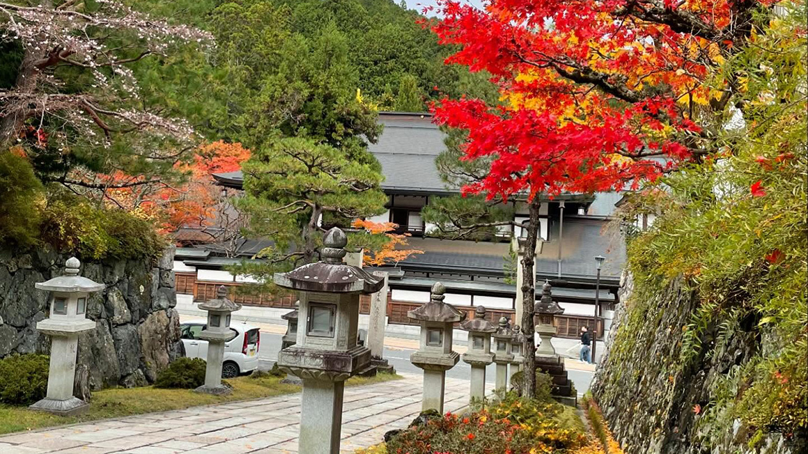 秋の画像2
