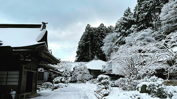 冬の画像1