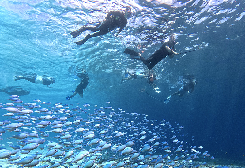 伊良部島ガイド Bonito