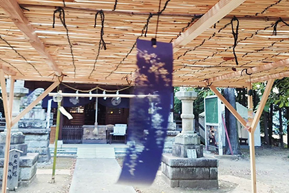 夏の画像2