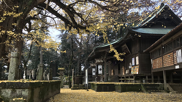 冬の画像1