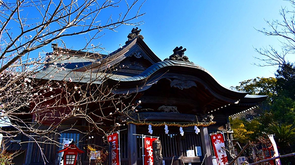春の画像1