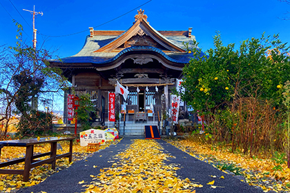 秋の画像2